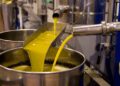 Huile d’olive tunisienne : 4,4 milliards de dinars à l’export, mais…