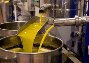 Huile d’olive tunisienne : 4,4 milliards de dinars à l’export, mais…