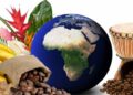 Commerce intra-africain : les échanges atteignent 213,8 milliards de dollars, mais restent concentrés entre quelques économies