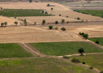 L’État ne refuse rien aux sociétés communautaires: 17 014 hectares répartis sur 38 exploitations agricoles!