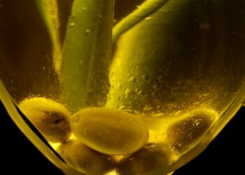 Huile d’olive conditionnée : une belle performance à l’export qui relance l’intérêt des investisseurs