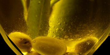 Huile d’olive conditionnée : une belle performance à l’export qui relance l’intérêt des investisseurs
