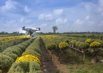 Agriculture 4.0: les startups tunisiennes appelées à accélérer la transformation du secteur jusqu’à fin juillet 2026