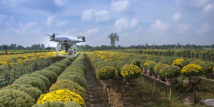 Agriculture 4.0: les startups tunisiennes appelées à accélérer la transformation du secteur jusqu’à fin juillet 2026