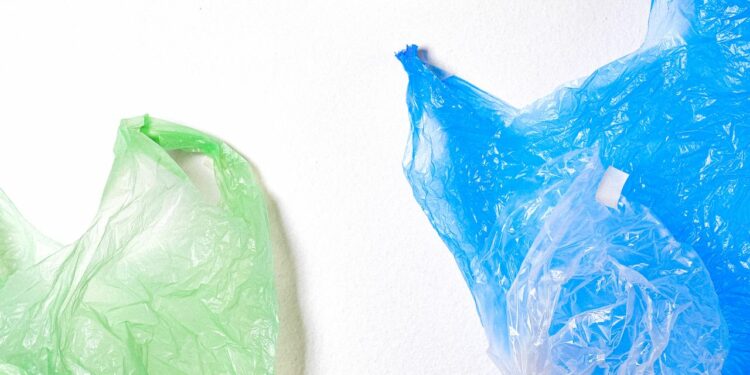 Sacs plastiques: une nouvelle loi qui s’adresse à tous, État, consommateurs et fabricants