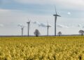 La Tunisie ambitionne de produire 80% de son électricité à partir d’énergies vertes d’ici à 2050