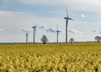 La Tunisie ambitionne de produire 80% de son électricité à partir d’énergies vertes d’ici à 2050