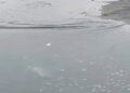 Bizerte : des bactéries dangereuses détectées dans l’eau de baignade à Sidi Salem