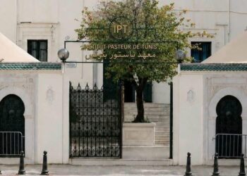 L’Institut Pasteur de Tunis devient le centre africain de référence pour surveiller les menaces sanitaires dans l’environnement