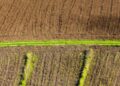 CONECT : un nouveau cadre juridique pour encourager l’investissement dans le secteur agricole