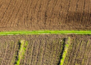 CONECT : un nouveau cadre juridique pour encourager l’investissement dans le secteur agricole