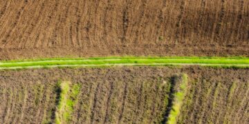 CONECT : un nouveau cadre juridique pour encourager l’investissement dans le secteur agricole