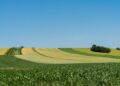 APIA : un réseau de fermes pionnières pour démocratiser l’agroécologie