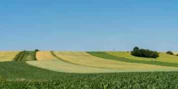 APIA: un réseau de fermes pionnières pour démocratiser l’agroécologie