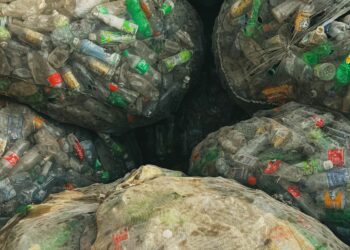 L’économie circulaire, nouveau relais industriel en Afrique