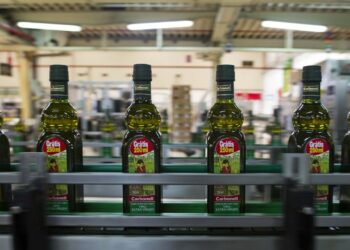 Rachat de Deoleo par Dcoop: naissance imminente d’un géant espagnol de l’huile d’olive