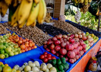 Les opérateurs tunisiens de fruits et légumes au carrefour mondial des produits frais