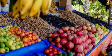 Les opérateurs tunisiens de fruits et légumes au carrefour mondial des produits frais