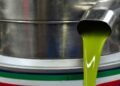 Huile d’olive : la Tunisie exporte plus, mais ne valorise pas encore assez sa production