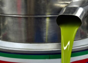 Huile d’olive : la Tunisie exporte plus, mais ne valorise pas encore assez sa production