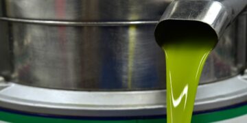 Huile d’olive : la Tunisie exporte plus, mais ne valorise pas encore assez sa production