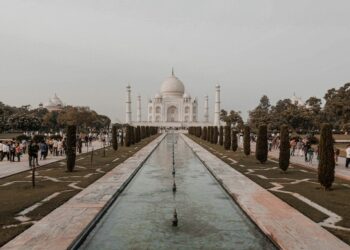 Tunisie – Inde : quelles opportunités pour les entreprises tunisiennes ?