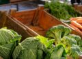 SOTUMAG : la facturation électronique pour fiabiliser les marchés de gros