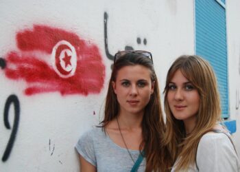 La Tunisie dans la liste des 50 pays concernés par la règle définitive de caution visa d’environ 60 000 tnd pour ce pays