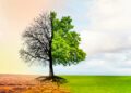 Adaptation climatique: la Tunisie face à un besoin de 31,7 milliards de dollars d’ici 2050