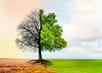 Adaptation climatique: la Tunisie face à un besoin de 31,7 milliards de dollars d’ici 2050