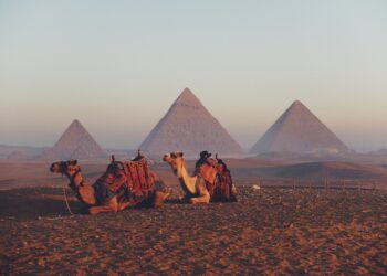 Nouvelair: Le Caire est désormais accessible directement depuis Tunis deux fois par semaine