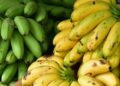 Voici les 3 grands producteurs de bananes en Afrique