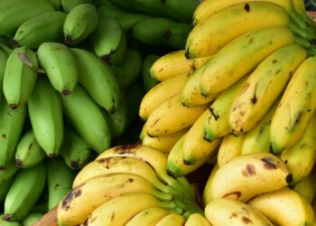 Voici les 3 grands producteurs de bananes en Afrique