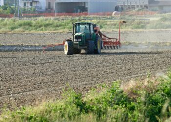 Entrepreneuriat agricole : les incubateurs tunisiens gagnent en visibilité dans le monde arabe