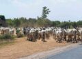 Les startups tunisiennes de l’agroéquipement et de l’agritech à l’assaut du marché nigérian