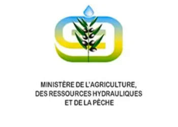 E-Houwiya dans l’Agriculture: les services en ligne vont-ils enfin parler le même langage?