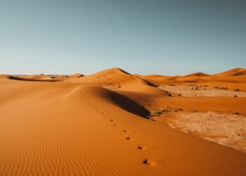 Inclusion financière dans Sud tunisien : le Sahara bancaire