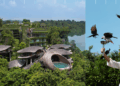 26 établissements d’un coup : le pari africain du singapourien Banyan Group