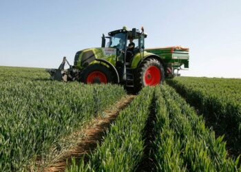 La Société Marja de développement de l’élevage et de l’agriculture augmente son capital