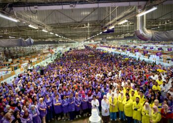 Kromberg & Schubert mise une nouvelle fois sur Béja avec une usine à 300 MD