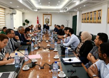 Tunisie: 2 secteurs retenus pour 63 MD dans le Programme de mise à niveau industrielle