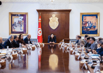 Stade d’El Menzah, aéroport Tunis-Carthage, port d’Enfidha… 6 grands projets publics sous pression