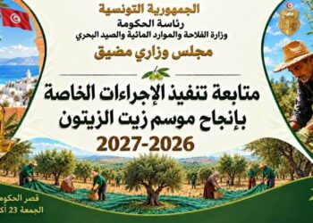 Huile d’olive: la Tunisie prépare une nouvelle campagne après une récolte record de 500 000 tonnes