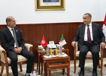 Énergie : la Tunisie et l’Algérie avancent sur une centrale de 1 400 MW