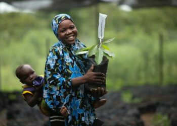 Ghana: Vitara Agritech lève 2 millions de dollars pour mieux valoriser le karité