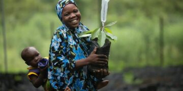 Ghana: Vitara Agritech lève 2 millions de dollars pour mieux valoriser le karité