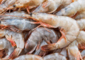 Crevettes en Tunisie : ce que révèle TunSea sur les espèces vendues et les risques sanitaires