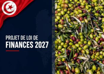 Huile d’olive: 100 millions de dinars et une redevance de 10% à l’export au menu du PLF 2027