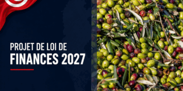 Huile d’olive: 100 millions de dinars et une redevance de 10% à l’export au menu du PLF 2027