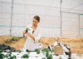 Agriculture biologique: 700 MD de recettes à l’export en neuf mois